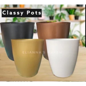 2pcs Sand Pot Medium Classy plastic plant pots mm