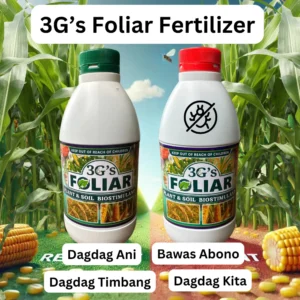 [TTB] 3Gs Japan Super Foliar Fertilizer Gold Plant Vegetable Rice Red | Green Cup 500ml | 1000 mL