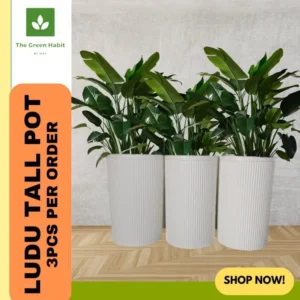 TGH Ludu Tall Pots (3PCS) – Premium White Planters for Home & Garden Spaces